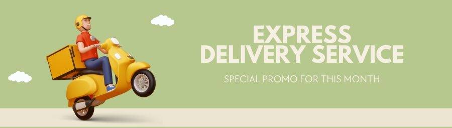 Express delivery service